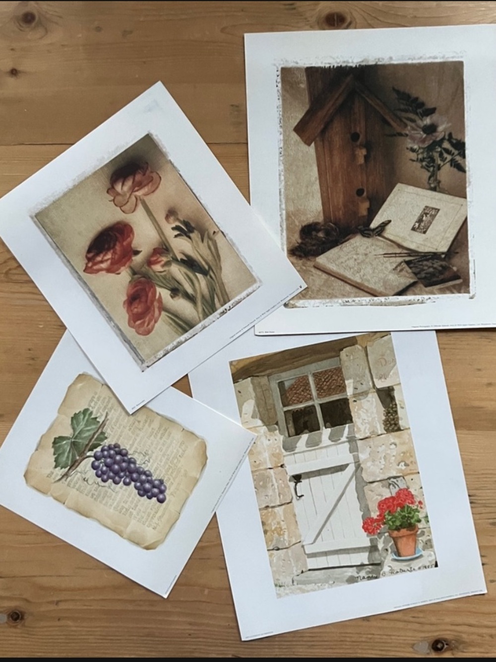 Wild Apple Graphics Artwork Prints